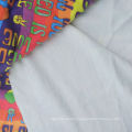 Affordable Custom Printing 95%Polyester 5%Spandex Double Minky Fabric For Making Baby Blanket NO MOQ